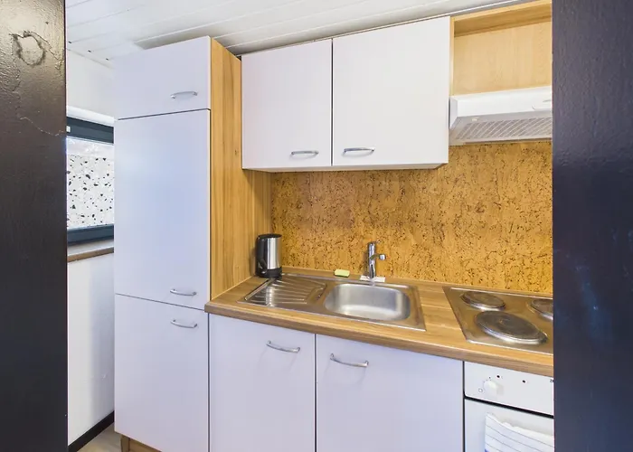 Crown Living Basic - Mit Kueche, Kostenloser Parkplatz, Wlan, Self Check-in, Ideal Fuer Feriengaeste Und Geschaeftsreisende アパート Fussach